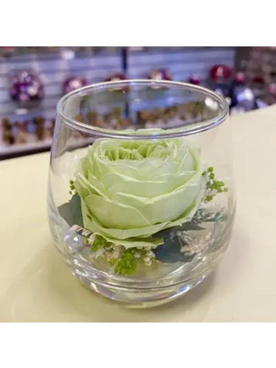 натуральный пион в стекле, вакуум*