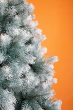 Ель искусственная «Русская Императрица голубая с белыми кончиками» (Литая хвоя) от 1,2 м до 3 м