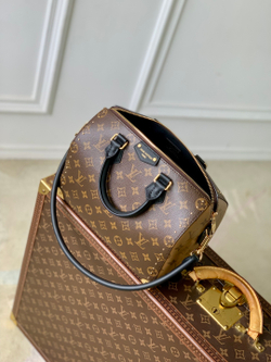 Louis Vuitton Speedy Trunk 25