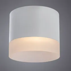 Точечный накладной светильник Arte Lamp