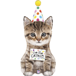 Шар Фольгированный Котёнок в колпаке (Ассорти)