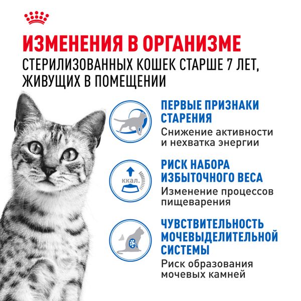 Пауч Royal Canin Indoor Sterilized 7+ для кошек в возрасте от 7 до 12 лет, живущих в помещении, небольшие кусочки в желе