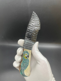 Обсидиановый нож с рукояткой из рога оленя с рисунком попугая 17 см