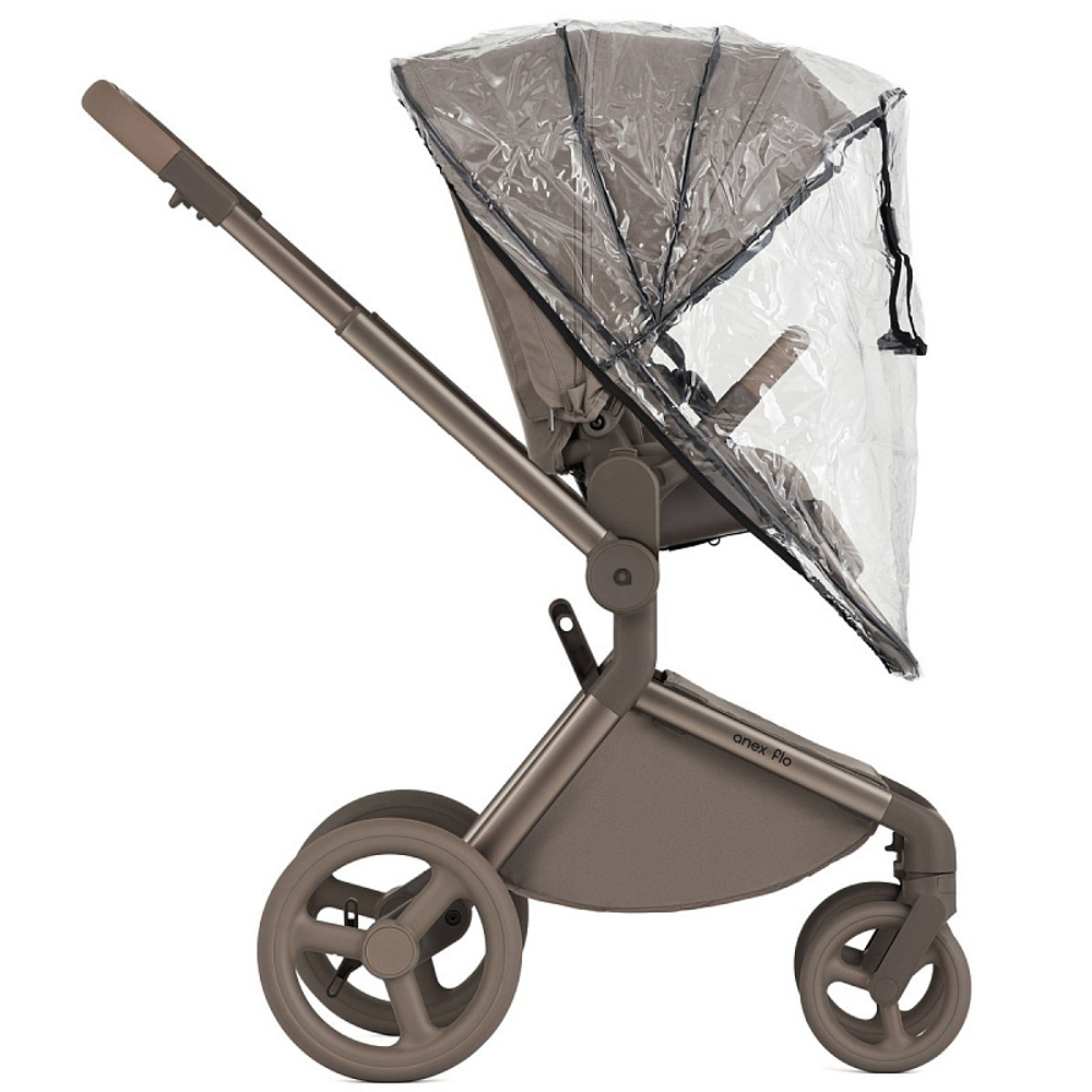 Детская коляска Anex Flo 2 в 1 Yuki