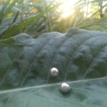 Серьги-гвоздики ШАРИК