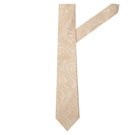 Галстук PAOLO MANCINI