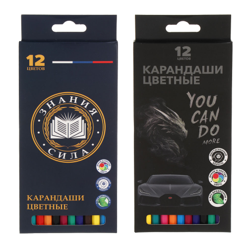 Карандаши пластиковые шестигранные, 12 цв., "Карбон/Базис", заточенные, цветная коробка