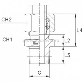 Штуцер FC DS12 BSPT 3/8 (в сборе, нерж.)
