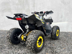 Квадроцикл FXMOTO Tank 125
