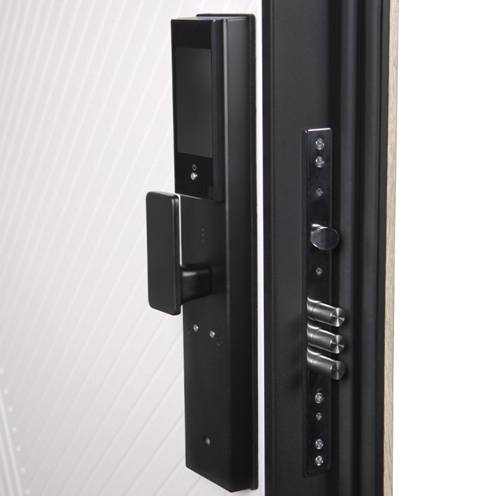 Стальная дверь "Авангард" (биометрический замок)