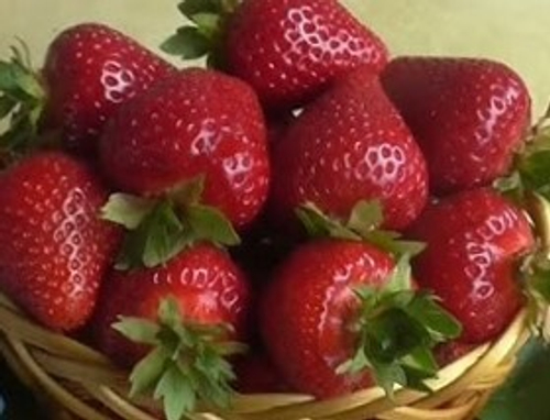 Манон де Фрез (Manon des Fraises). Франция.