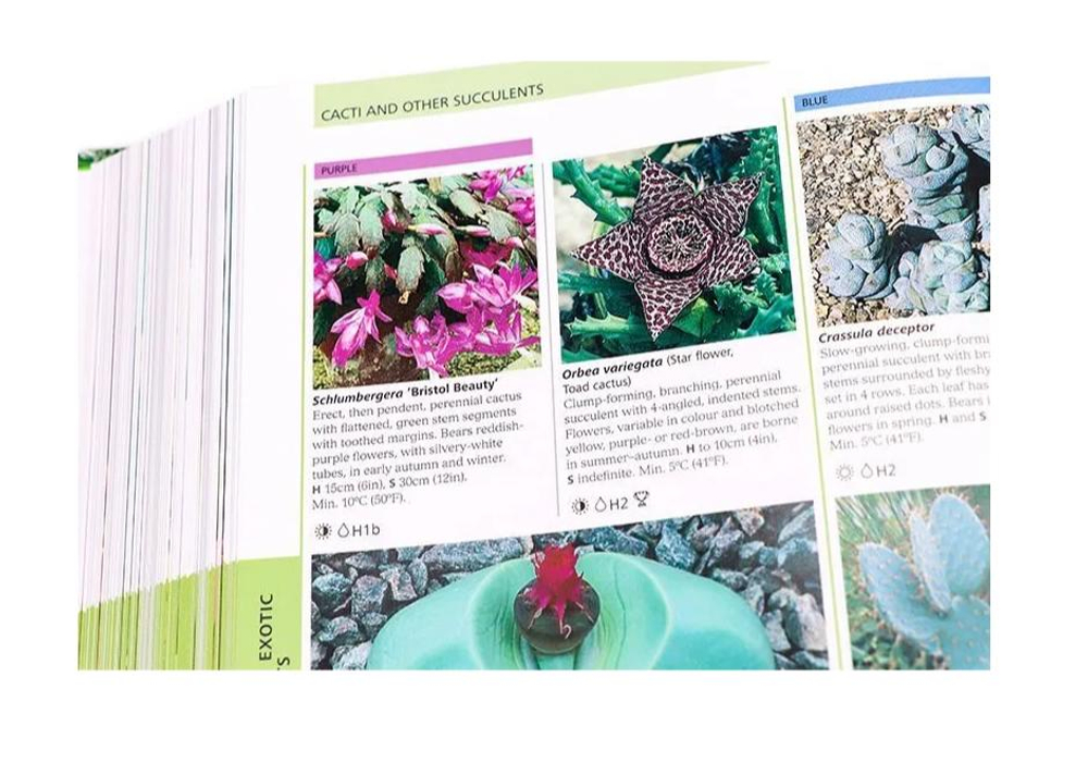 RHS Encyclopedia of plants and flowers
