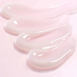 Round Lab Camellia Deep Collagen Firming Cream Лифтинг крем с камелией и коллагеном