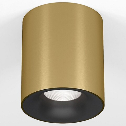 Накладной светильник Elektrostandard Primo 25116/LED