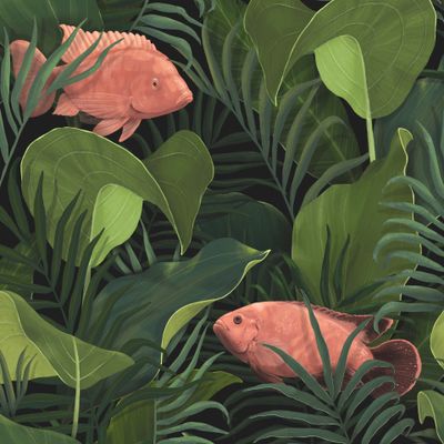 Тропические рыбки