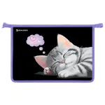 Папка для труда 2 отделения А4 на молнии, рисунок на пластике Brauberg Sleeping kitten