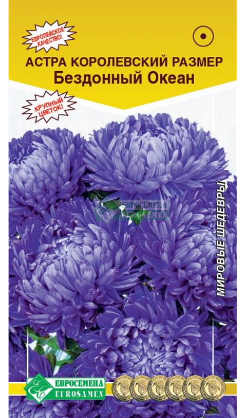 Астра Королевский размер Бездонный океан