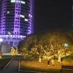 Гирлянда для улицы 11м 120 ламп LED чёрный провод, 8 реж, IP-54, Теплый белый (возможность соединения)