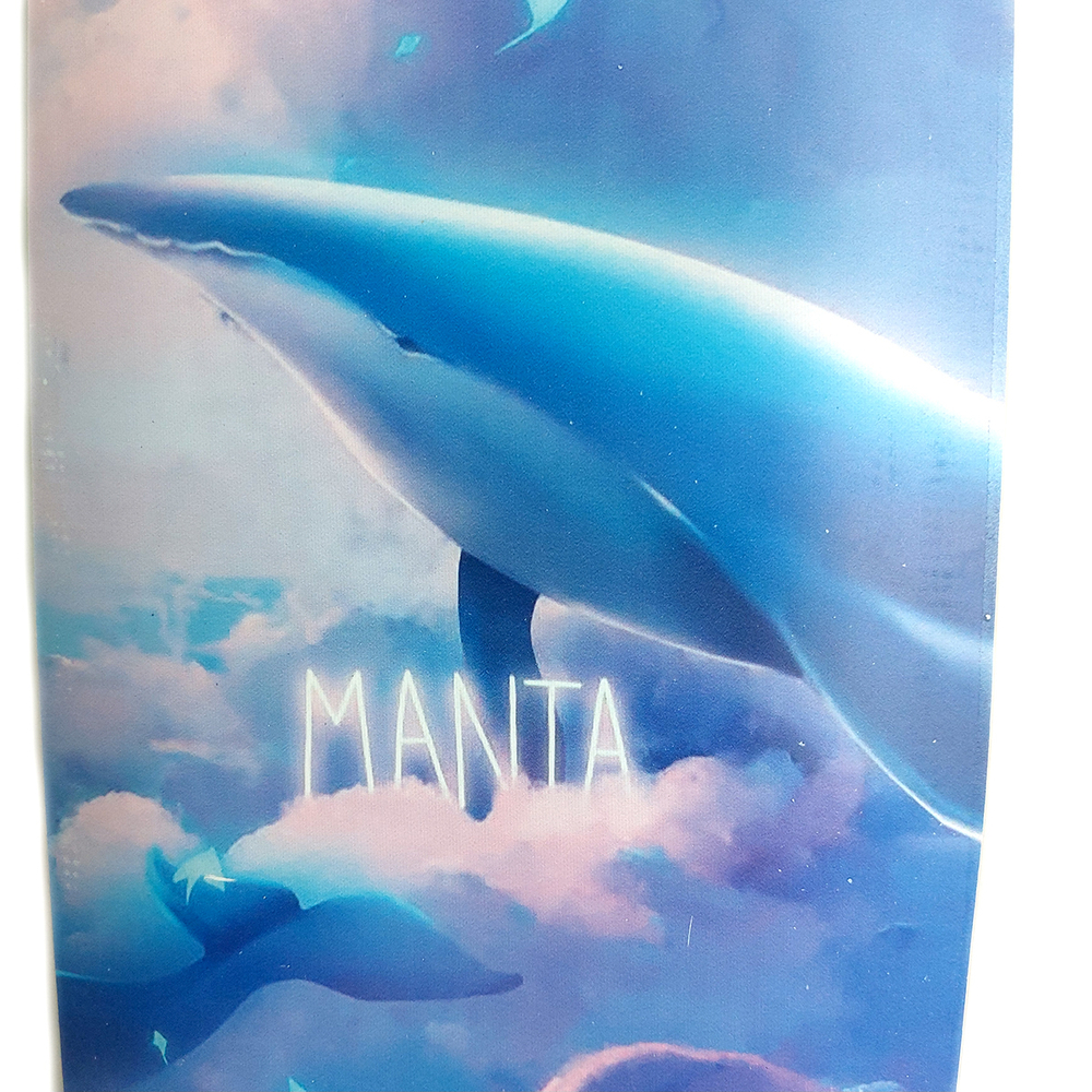 Комплект лонгборд Manta Delphin 44/112см