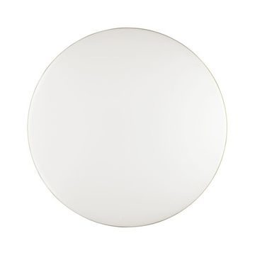 Настенно-потолочный светильник 3043/DL белый/золото Lassa Sonex