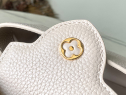 Louis Vuitton Capucines Mini