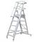 Лестница - платформа телескопическая MEGAL ТЛП-К (1,6 - 2,5)
