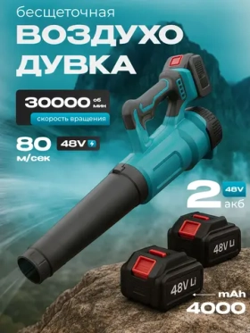 Воздуходувка аккумуляторная мощная