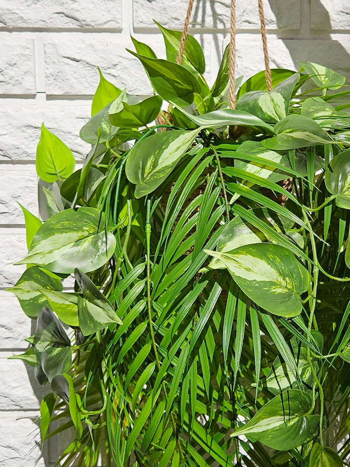 Зелень ампельная в подвесном плетеном кашпо