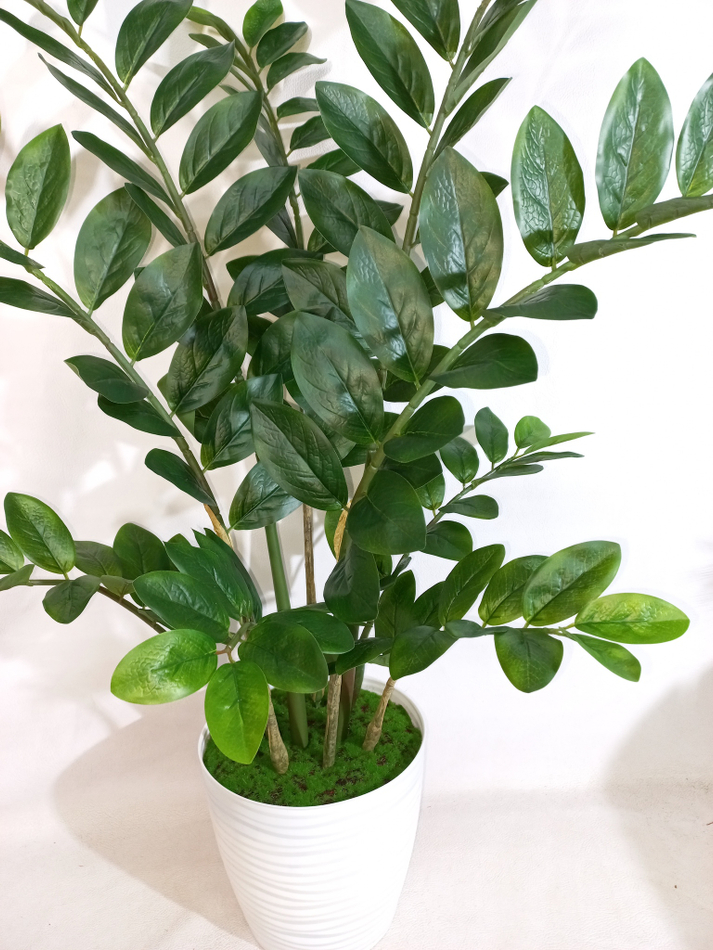 Качественное искусственное растение замиокулькас