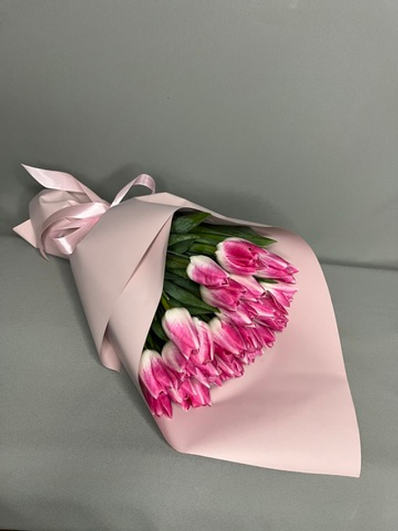 Тюльпаны 25 штук