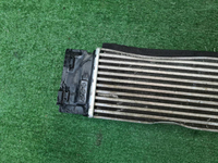 Интеркулер Geely Tugella (2019-н.в.)
