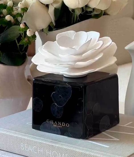 Black Marble, ароматический диффузор с необычными палочками, Chando