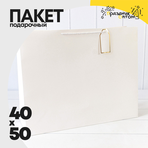 Пакет подарочный 50х40х15см Фигуры и узоры "Фактура" (Белый)