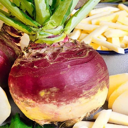 Брюква Гера 0,5г Ц Поиск