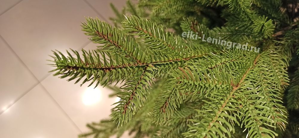 Елка искусственная «НОРДМАН» (Литая) от 210 см / 2.1 м