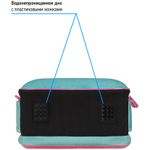 Ранец Berlingo Expert Mini Кошечка 36х27х14см, 2 отд., анатомическая спинка, с мешком д/обуви