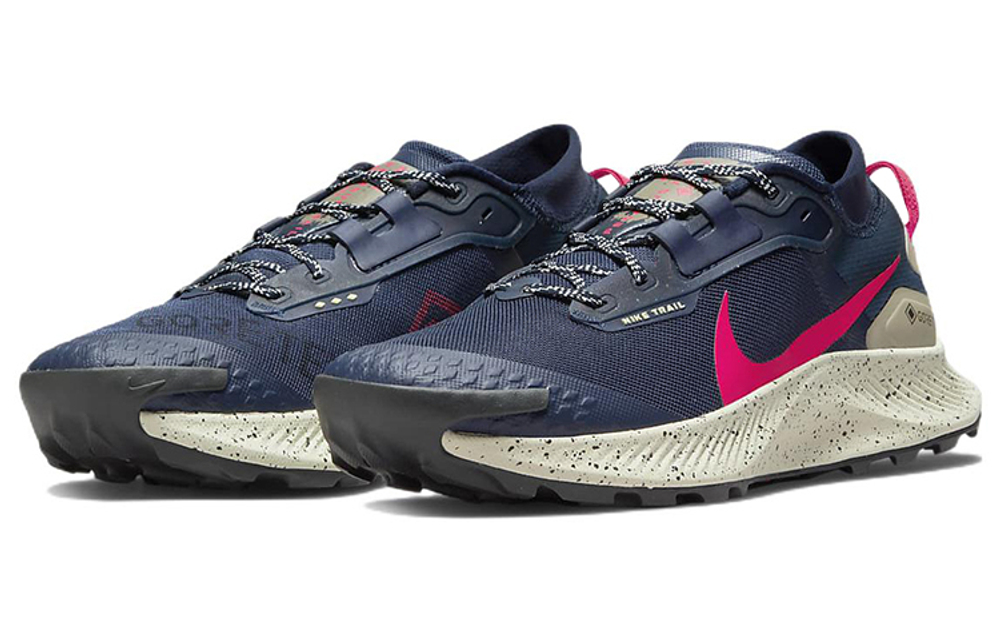 Кроссовки Nike Pegasus Trail 3 Gtx