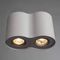 Потолочный светильник Arte Lamp Falcon A5633PL-2WH