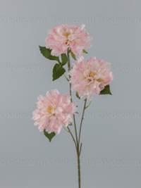 Ветка пиона Джессика