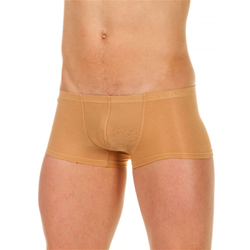 Мужские трусы хипсы бежевые в узорчатую сетку в виде роз Romeo Rossi Beige Rose Boxer RR00211