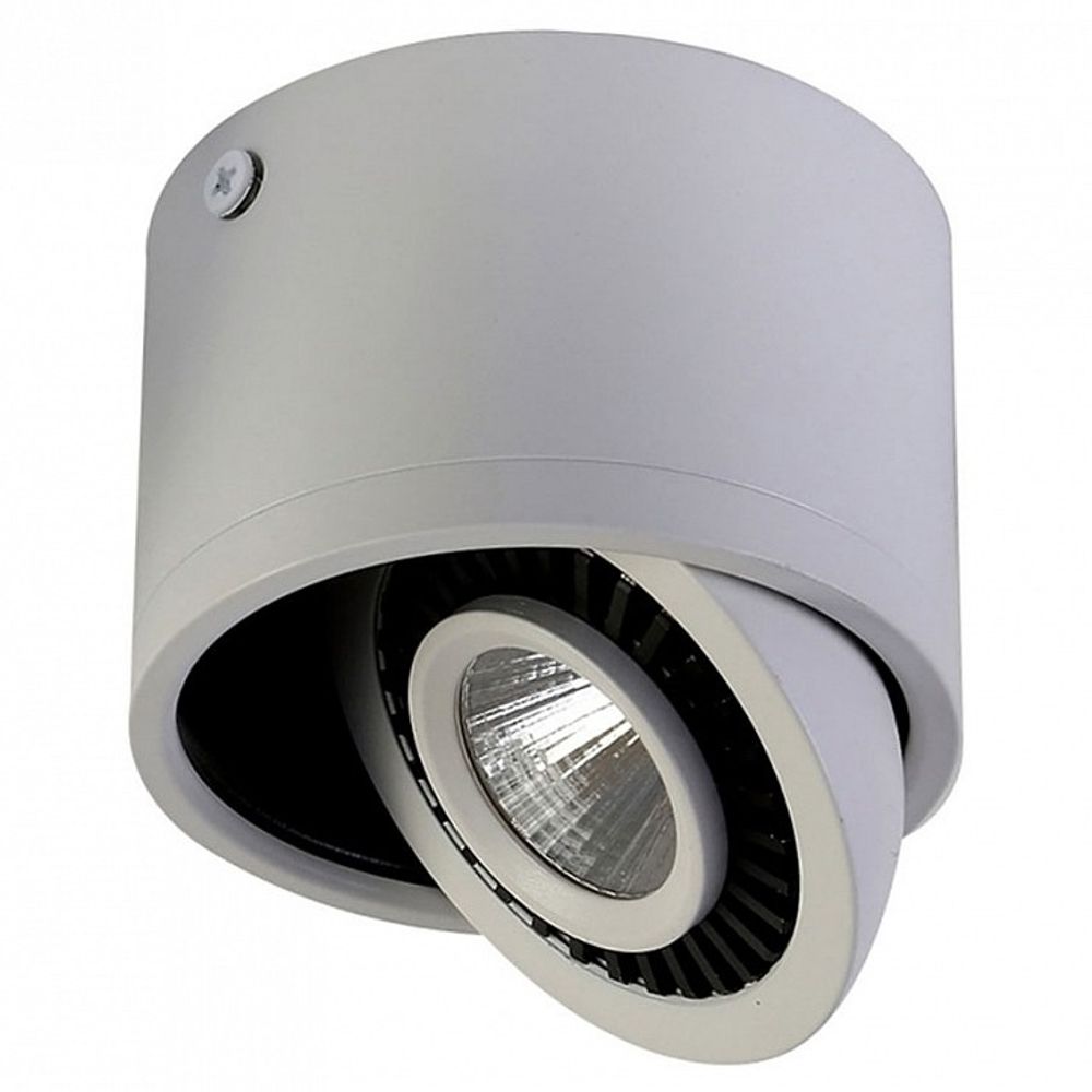 Накладной светильник Favourite Reflector 1775-1C