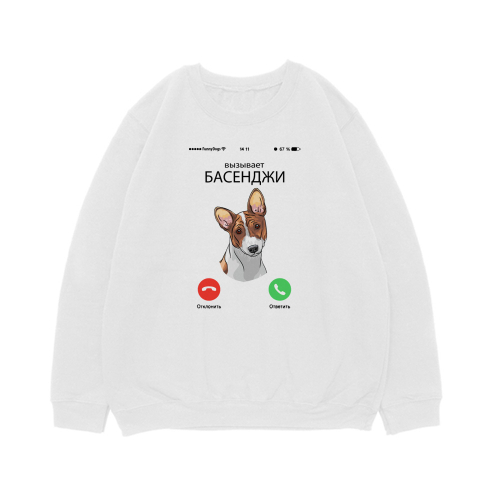 Свитшот "Басенджи вызывает"