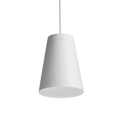 FBT LIBRA 5CT W - двухполосная коаксиальная пассивная акустическая система с траснсформатором 5' +