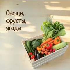 Овощи, фрукты, ягоды