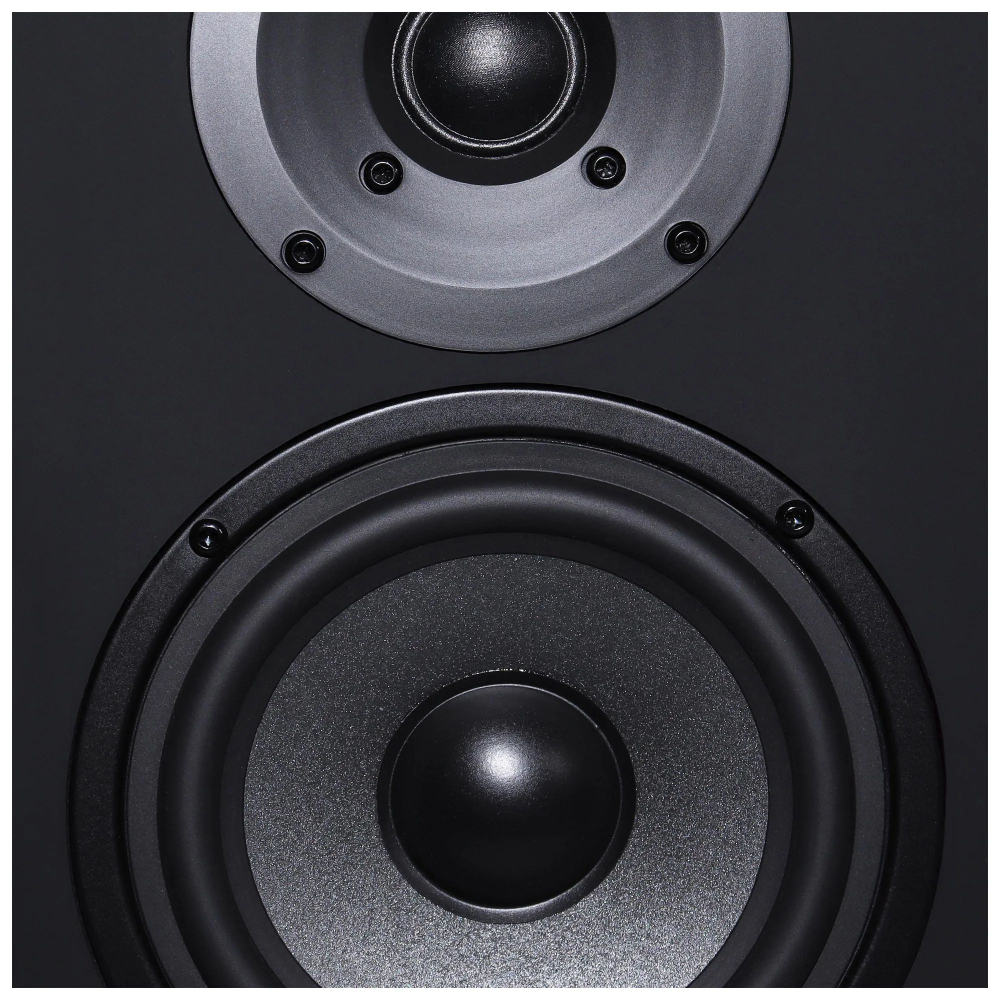 Полочная акустика Radiotehnika S-20N Walnut