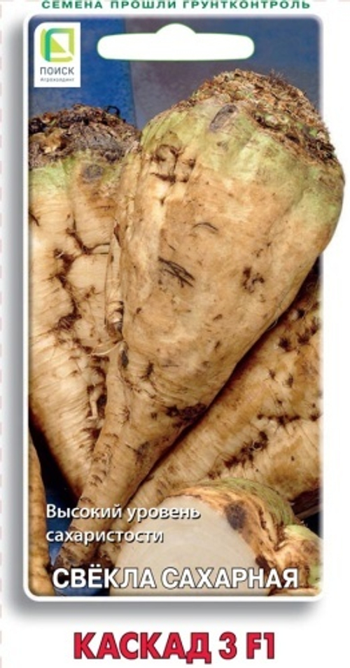Свекла сахарная Каскад 3 F1 4гр Поиск