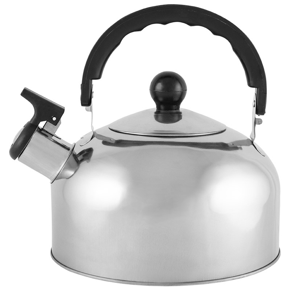 Чайник Casual, объем 2 л, из нерж стали со свистком, зеркальная полировка