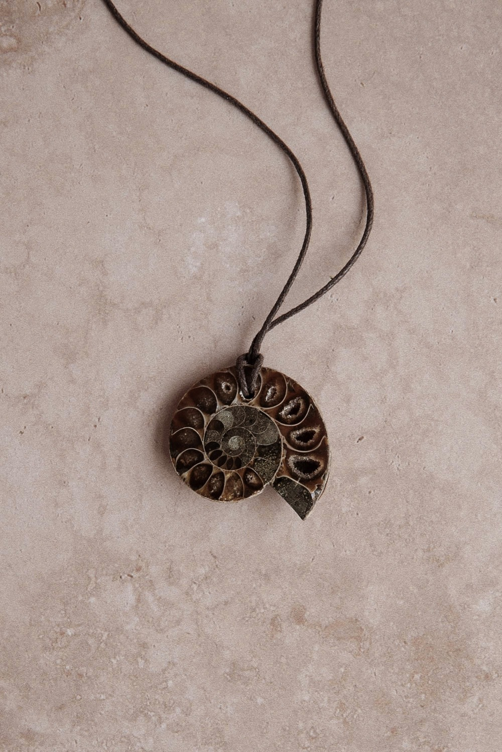 Чокер ammonite