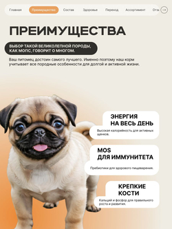 Корм сухой для щенков породы Мопс, с индейкой, 3 кг, QUATTRO