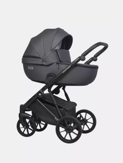 Коляска MONTANA ECCO (2 в 1) (RIKO BASIC)